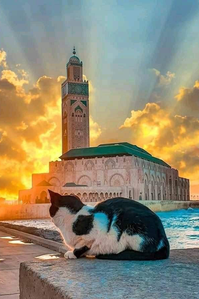 mosque Mosqué Hassan 2
